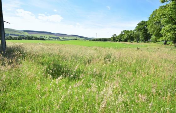 Under Offer, Land for sale in Biggar, Lanarkshire photo