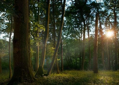 Land for sale in Bicester photo