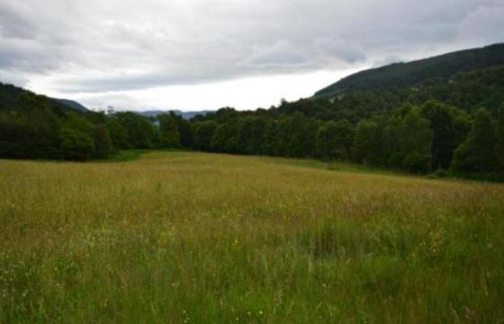 Land for sale in Inverness, Highlands photo