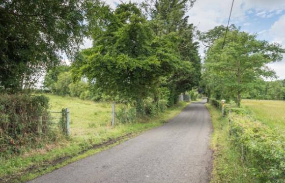 Land for sale in Upper Ballinderry, County Antrim photo