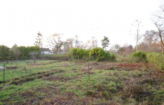 Land for sale in Glasgow photo