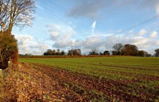 Land for sale in Ropley, Hampshire photo