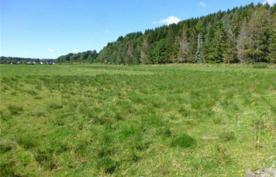 Land for sale in Aberlour, Moray photo