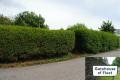 Land for sale in Dumfries and Galloway photo
