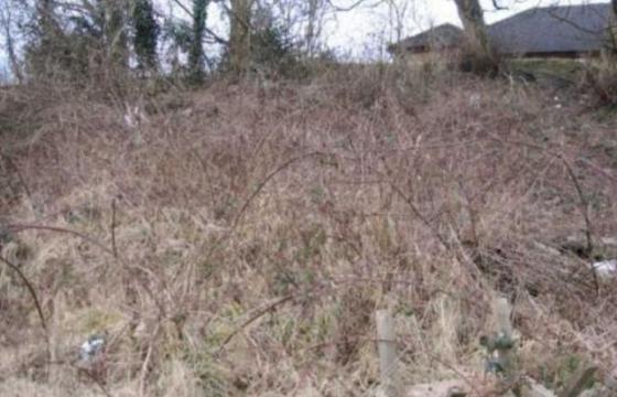 Land for sale in Hengoed, Caerphilly photo