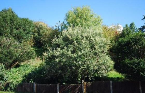 Land for sale in Hythe, Kent photo