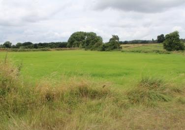 Under Offer, Land for sale in Tibberton, Newport photo