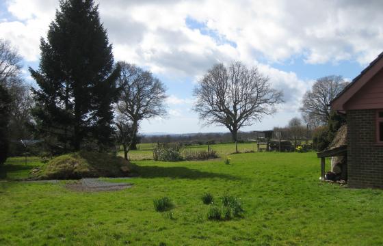 Land for sale in Sussex photo