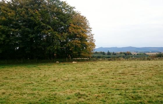 Land for sale in Culsalmond, Aberdeenshire photo