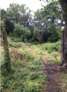 Land for sale in Gloucestershire photo