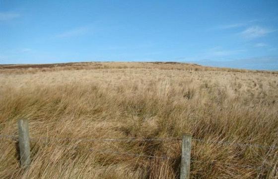 Land for sale in Highlands photo
