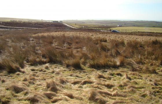 Land for sale in Highlands photo