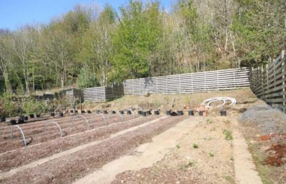 Land for sale in Perthshire photo