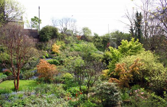 Land for sale in Ramsbottom, Lancashire photo