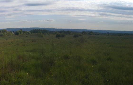 Land for sale in Newarthill, Lanarkshire photo