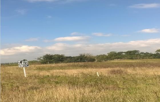 Land for sale in Surrey photo