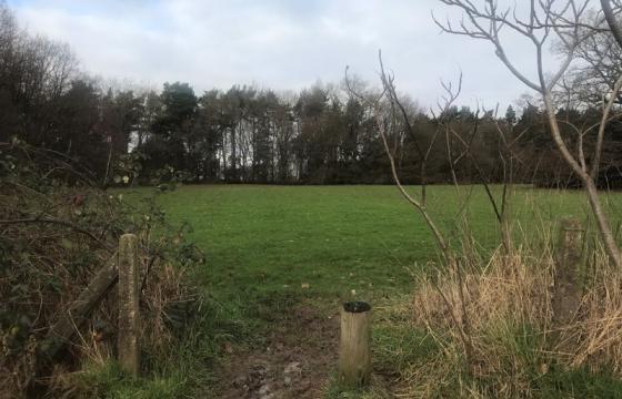 Land for sale in Alvechurch photo