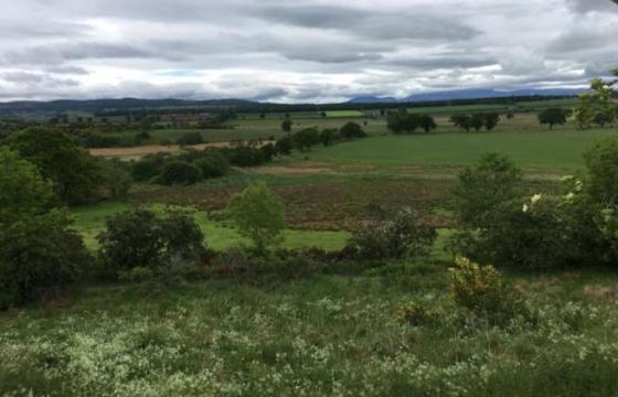 Land for sale in Cabrich, Inverness photo
