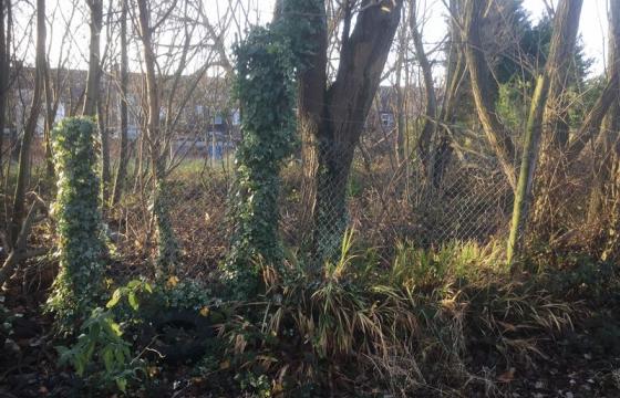 Land for sale in Manchester photo