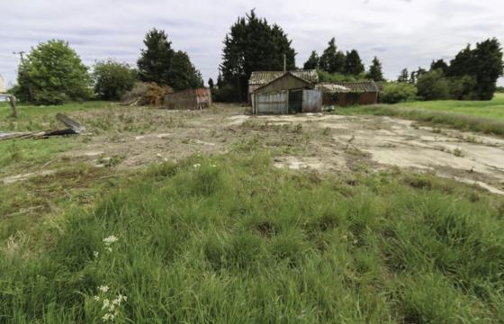Land for sale in Ely photo