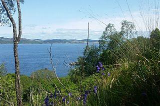 Land for sale in Argyll photo