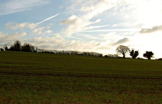 Land for sale in ROPLEY, HAMPSHIRE photo