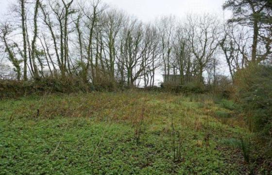 Land for sale in Holsworthy, Devon photo