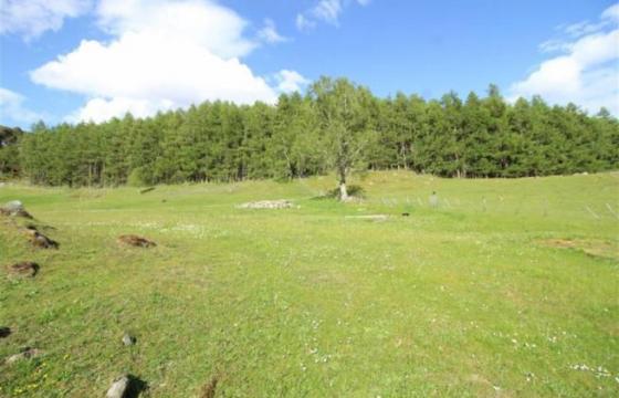 Land for sale in Invergarry, Scotland photo