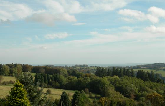 Renovation for sale in Hewelsfield Common photo