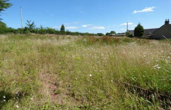 Land for sale in Braidwood, Lanarkshire photo