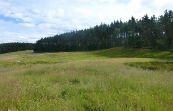 Land for sale in Forres, Moray photo