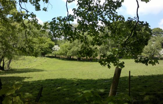 Plot with PP for sale in Abercrave photo
