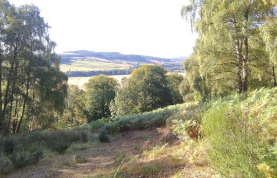 Land for sale in Aberlour, Moray photo