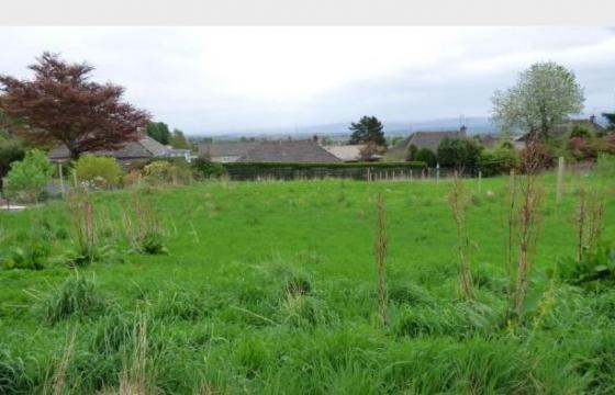 Land for sale in Crieff, Perth and Kinross photo
