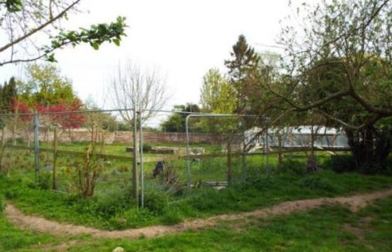 Land for sale in King's Lynn, Norfolk photo