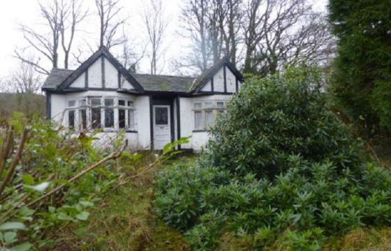 Land for sale in Llandeilo, Carmarthenshire photo