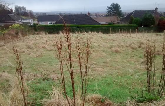 Land for sale in Perthshire photo