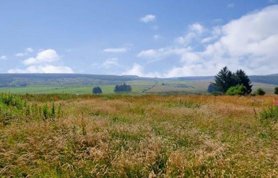 Land for sale in 8 miles west of Aberdeen, Aberdeenshire photo