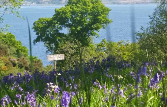Land for sale in Argyll and Bute photo