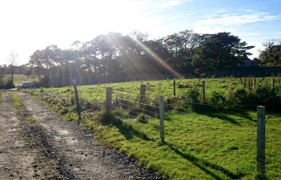 Land for sale in Longside, Aberdeenshire photo