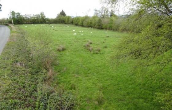 Land for sale in Llandrindod Wells, Powys photo