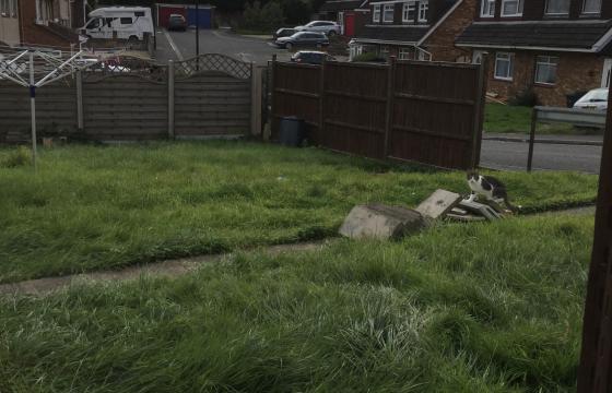 Plot with PP for sale in Whitchurch photo