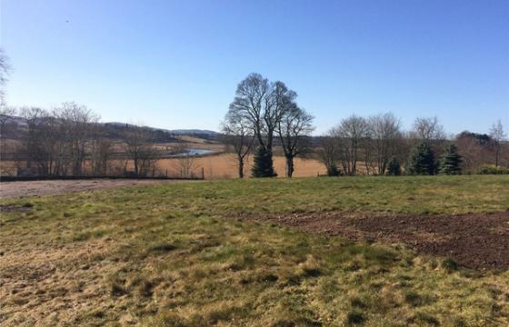 Land for sale in Blairgowrie, Perthshire photo