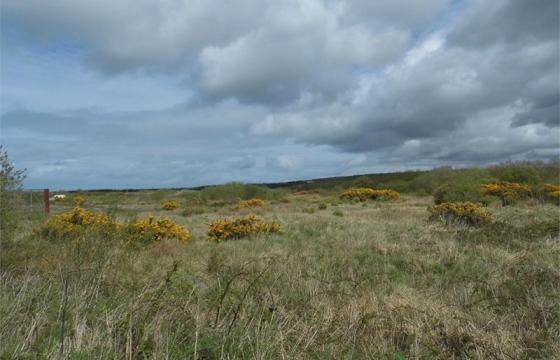 Land for sale in Fishguard photo