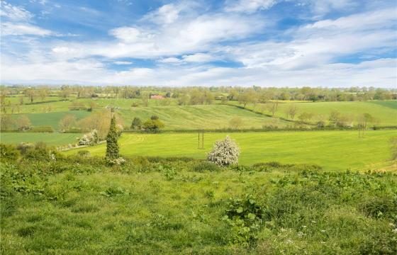 Land for sale in Knaptoft photo