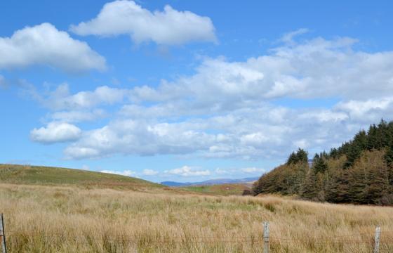 Land for sale in Bunessan photo