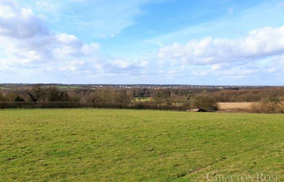 Land for sale in Wickham Bishops photo