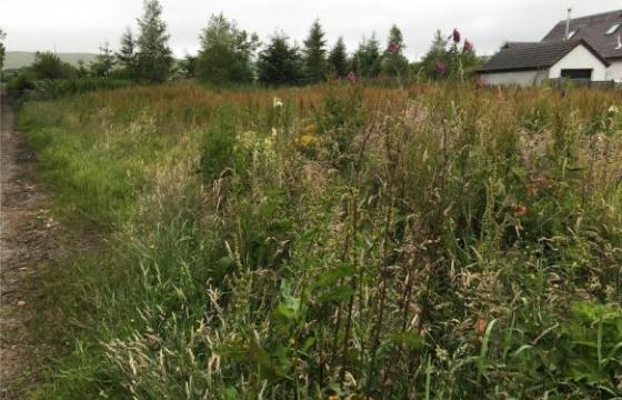 Land for sale in Forfar, Angus photo