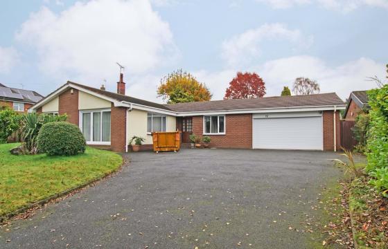 Extension potential in Blackwell photo