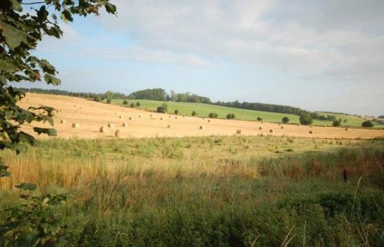 Land for sale in HAWICK photo